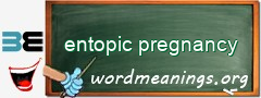 WordMeaning blackboard for entopic pregnancy